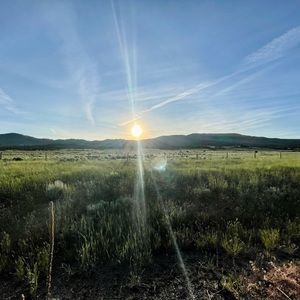 Meet your Posher, Callie